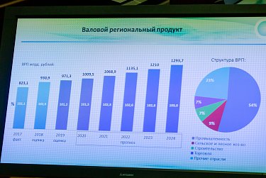 Прогноз социально-экономического развития предложено выносить на публичные слушания